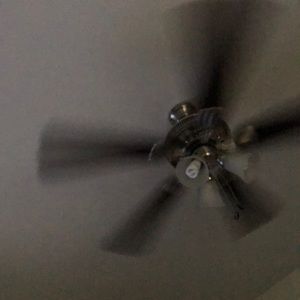 Meet your Posher, Algernon